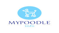 Food For Toy Poodle Puppy